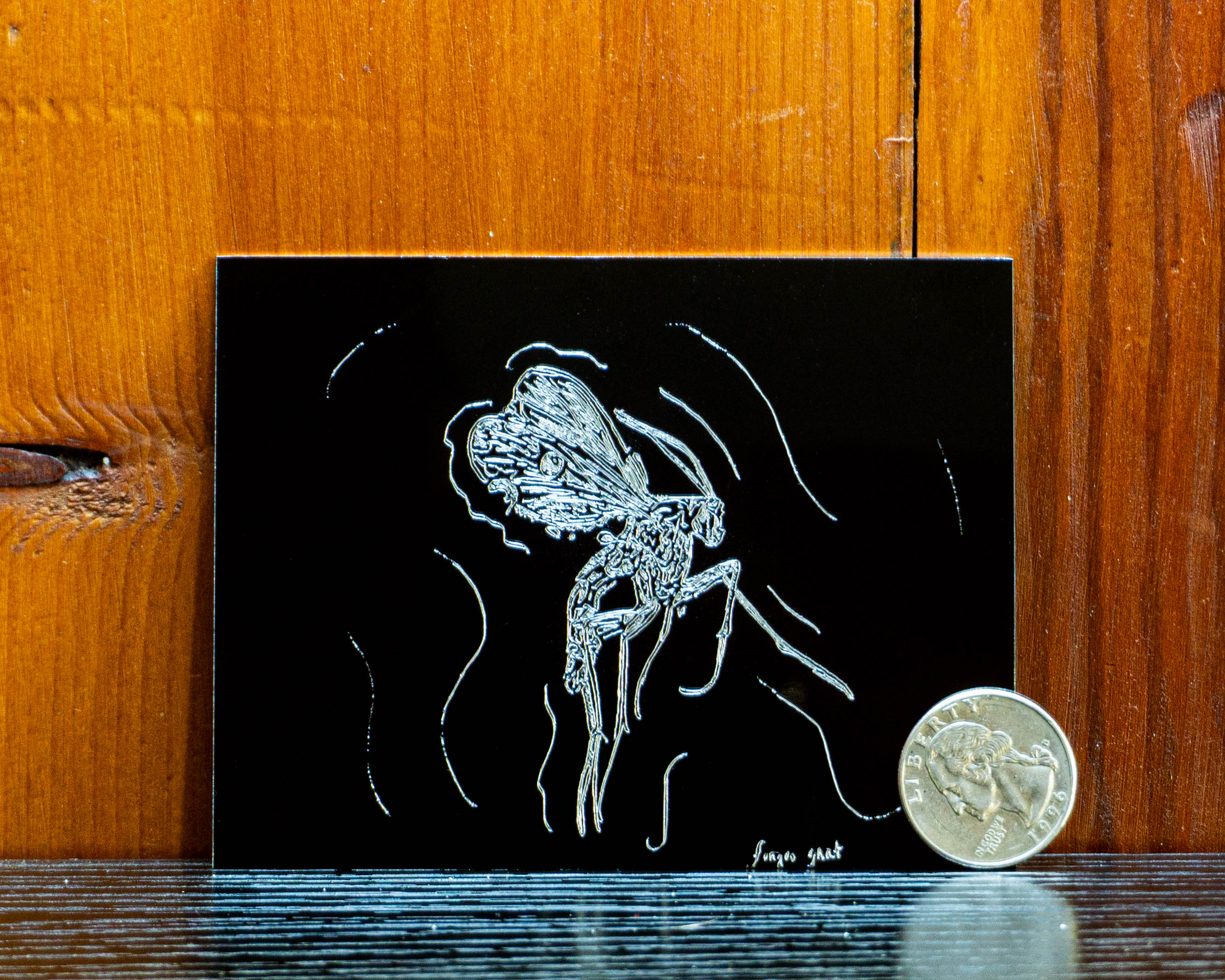 Placeholder Picture